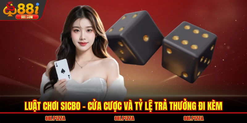Luật chơi Sicbo - Cửa cược và tỷ lệ trả thưởng đi kèm